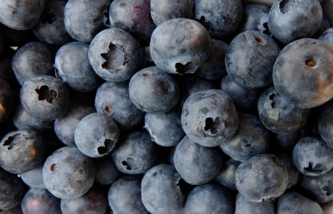 blueberry-3357568_960_720